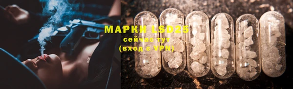 винт Алзамай