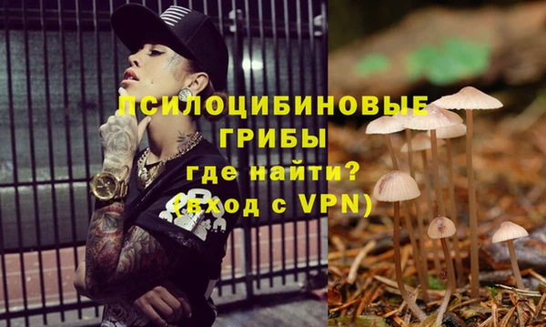 прущий лед Алексеевка