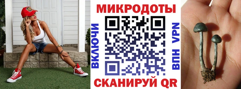 kraken ТОР  Десногорск  Псилоцибиновые грибы Psilocybine cubensis  закладки 